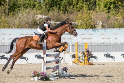 Equita Lyon 2026 : le salon du cheval revient à Eurexpo du 28 octobre au 1er novembre