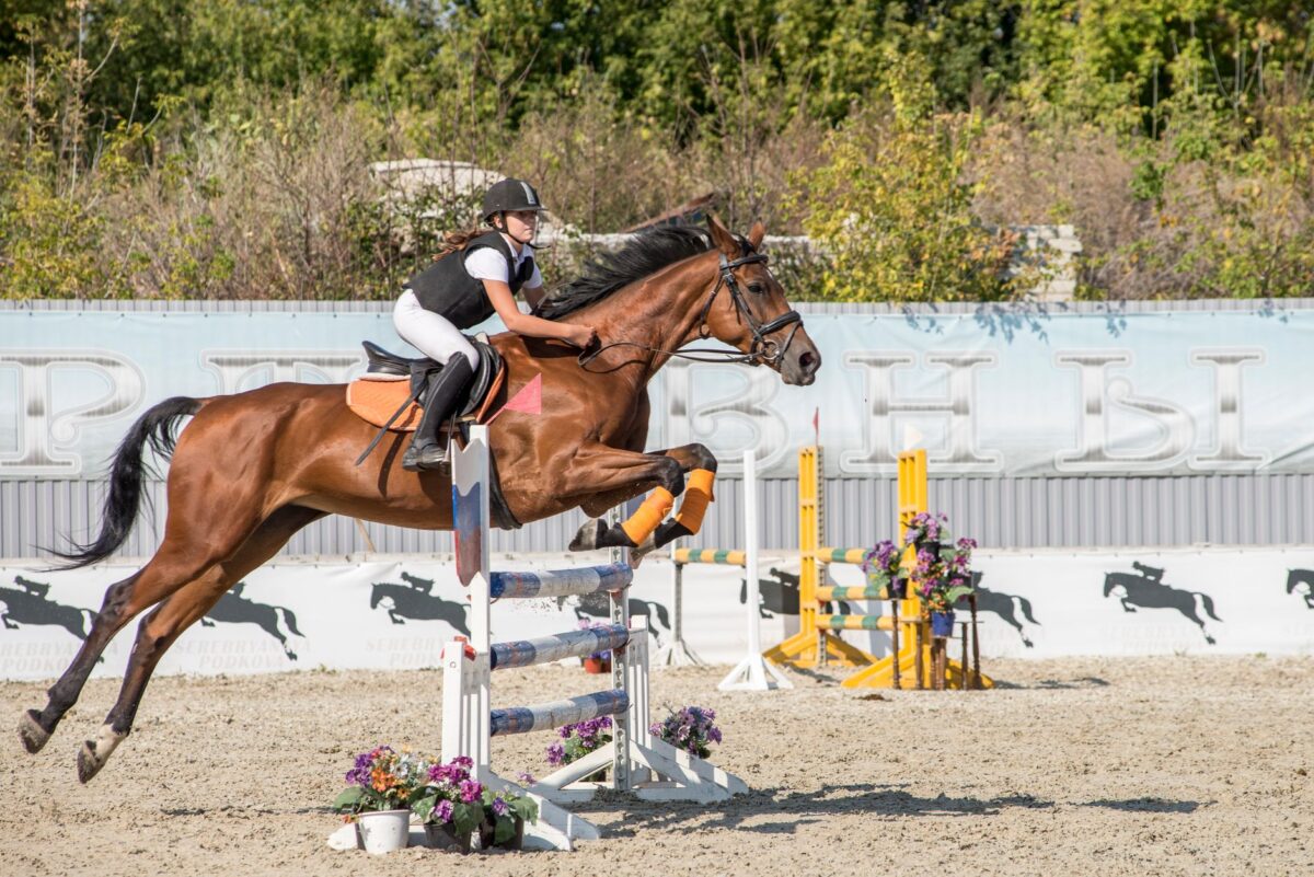Equita Lyon 2026 : le salon du cheval revient à Eurexpo du 28 octobre au 1er novembre