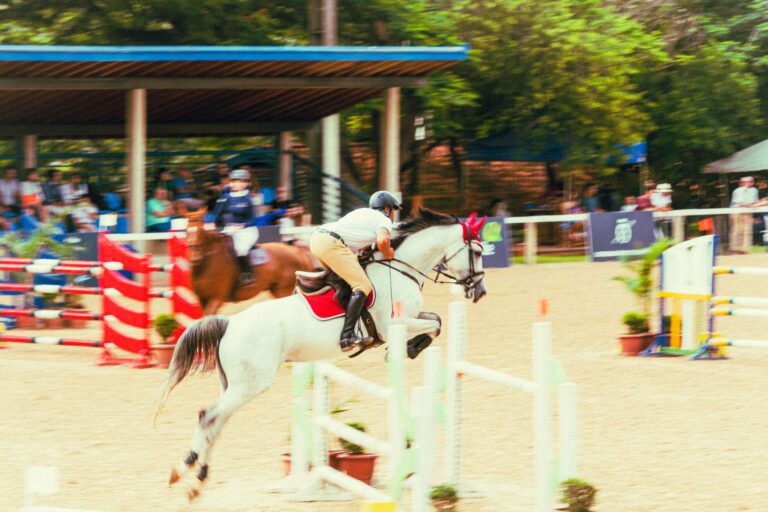 Equita Lyon 2026 : cinq jours de cheval à Eurexpo avec la Coupe du monde de dressage